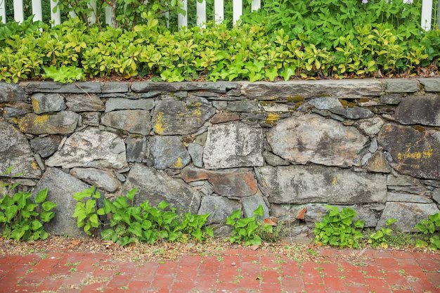 Stone wall with green plants and a white picket fence above.