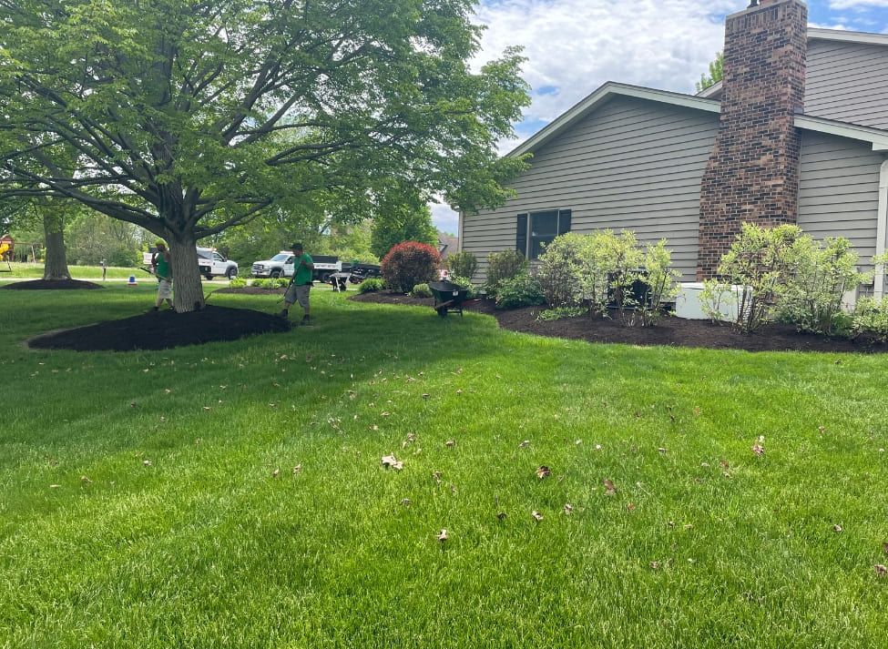 Lawn care service: workers tending to yard with house and tree. Green grass, mulch beds, cloudy sky.