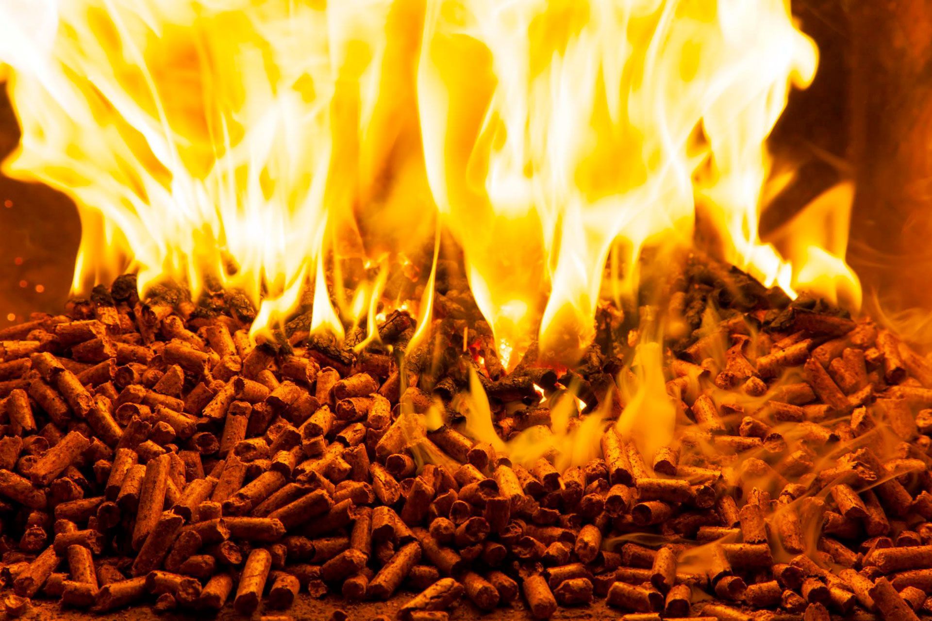 Assistenza Stufe a Pellet