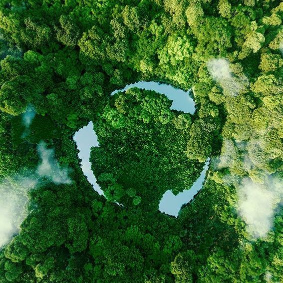 An aerial view of a lush green forest with a lake in the middle.