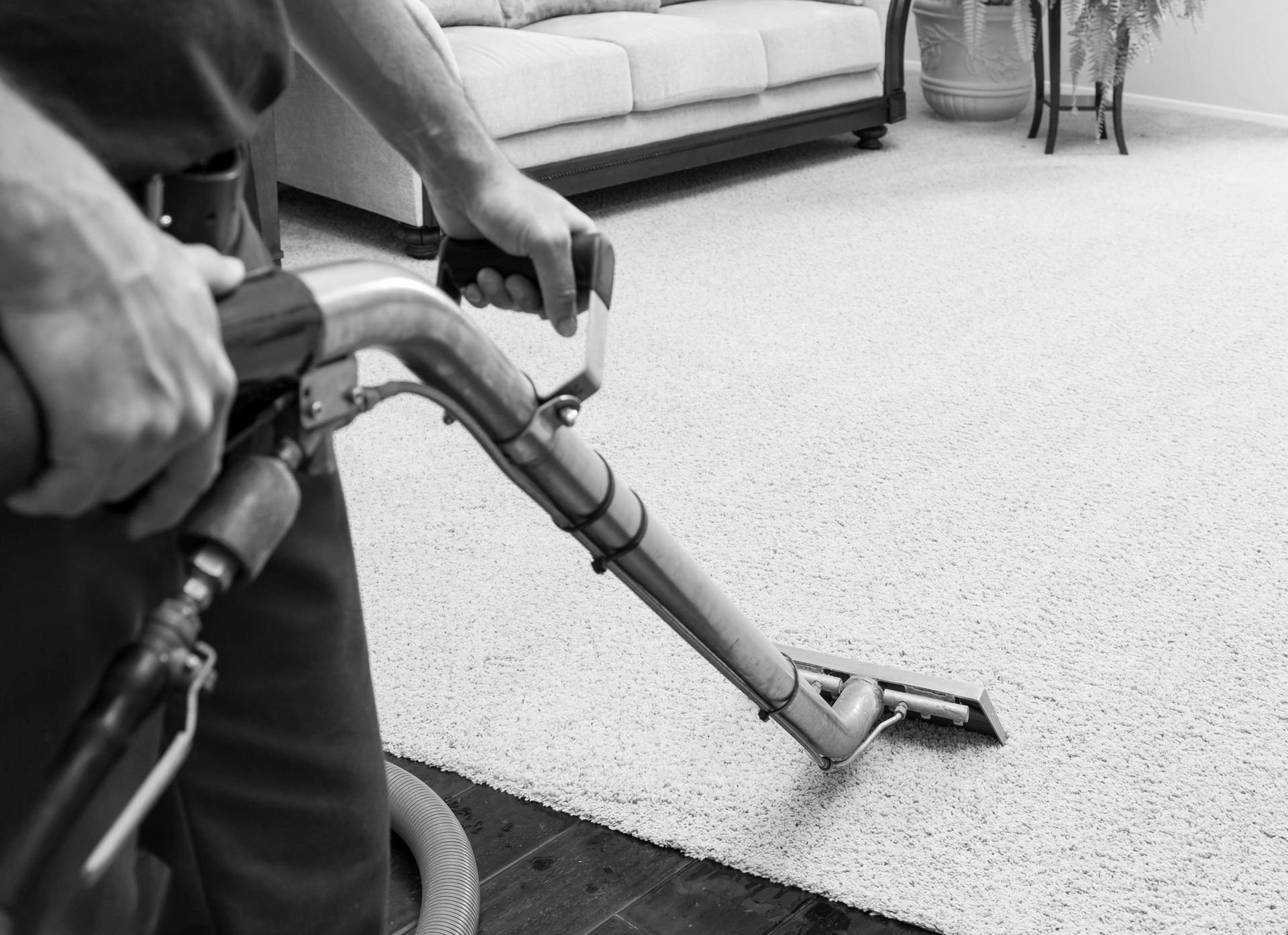 Cleaning a Textured Carpet — Honolulu, HI — Home Value Services