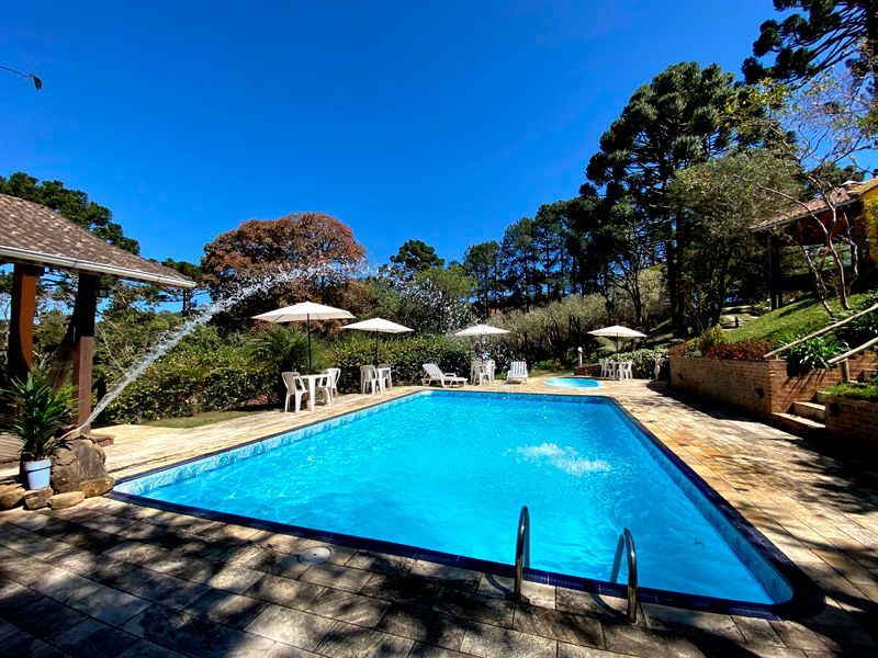 Piscina exterior com espreguiçadeiras e guarda-sóis, céu azul e árvores.
