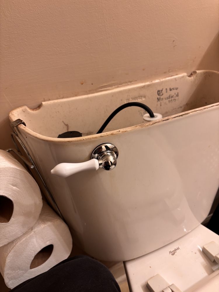 Toilet tank with white porcelain, black hose, and chrome handle.  Two rolls of toilet paper are stacked next to it.