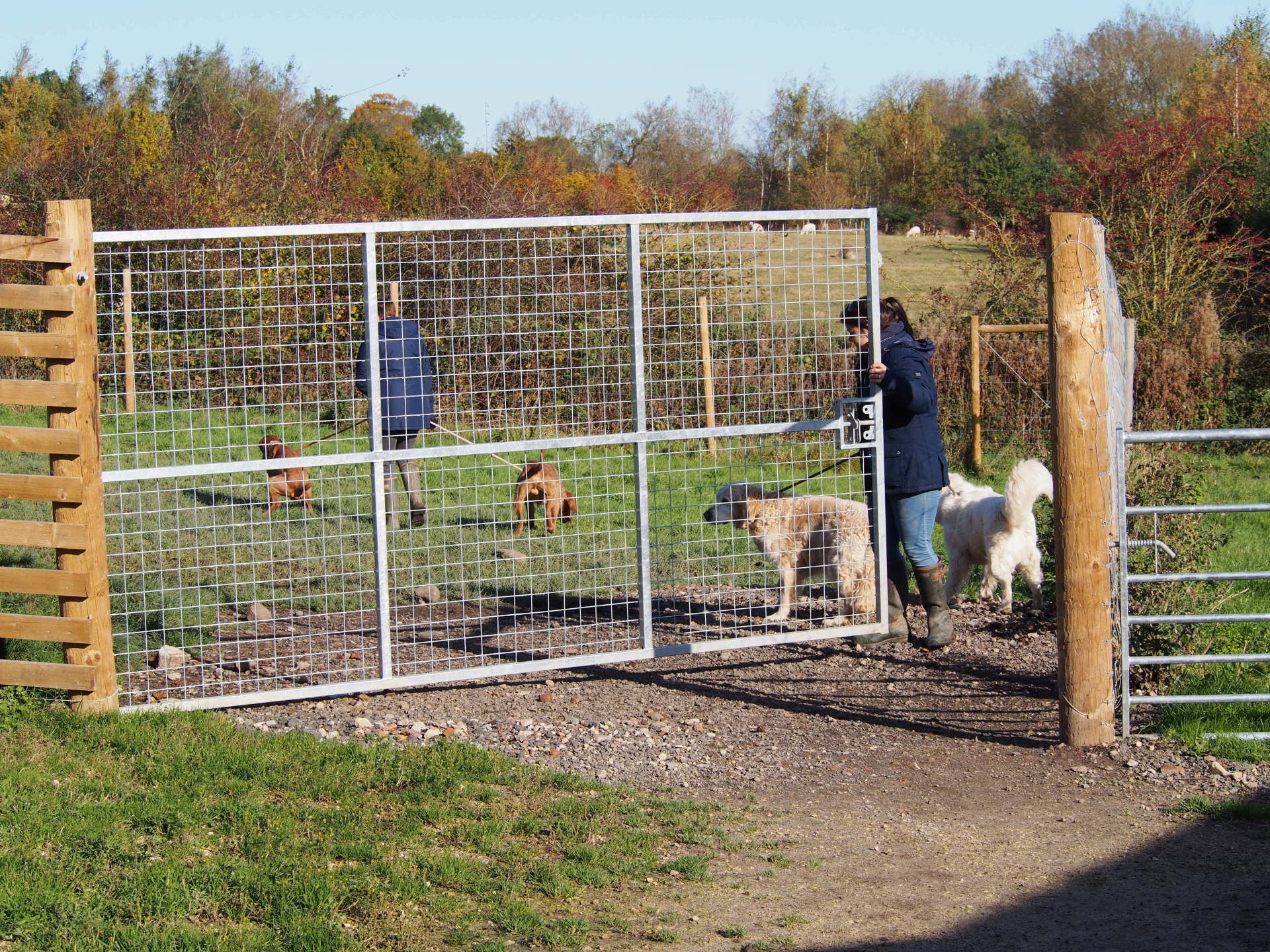 Gallery, Kennels & Cattery Leeds North Rigton Boarding Kennels