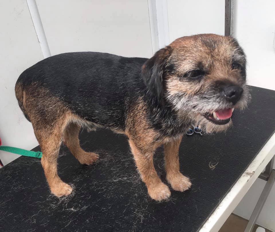 Handsome and distinguished,