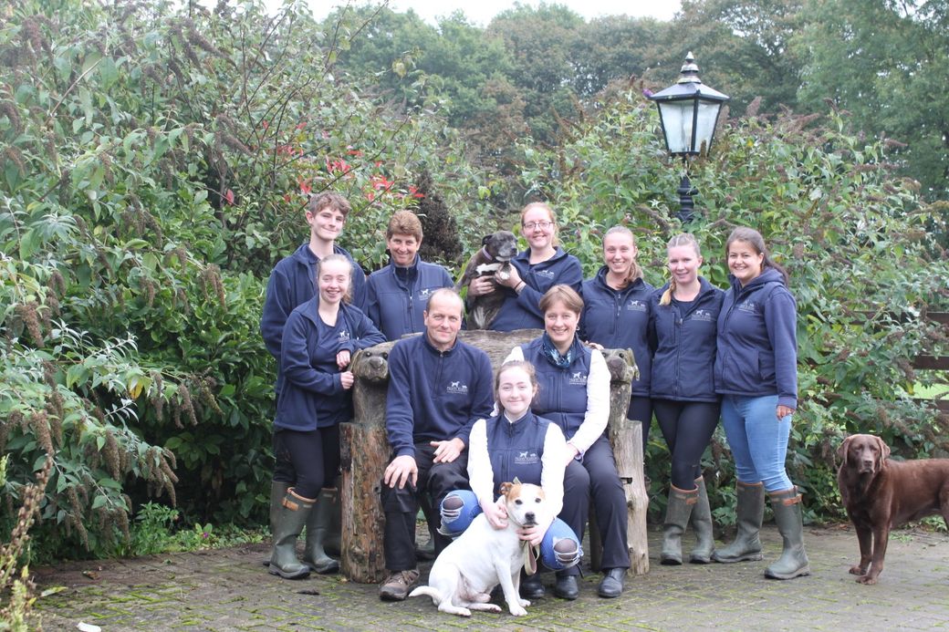 the team of the north rigton boarding kennels