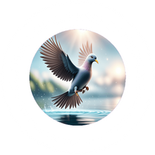 Central Islip Chamber of Commerce Inc. Central Islip Chamber of Commerce Inc.