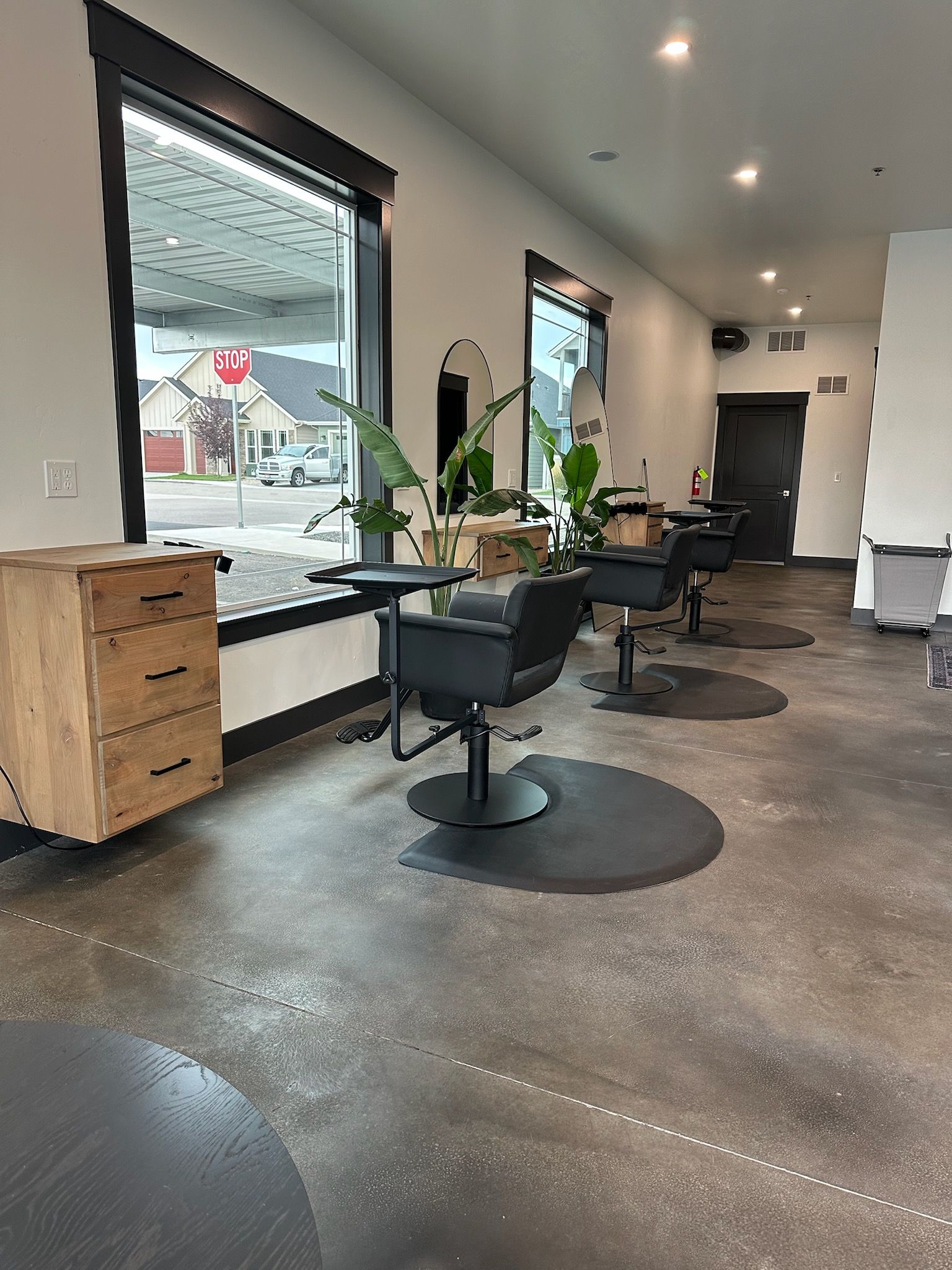 Hair salon interior: black chairs, mirrors, plants, large windows, wooden cabinet, gray floor.