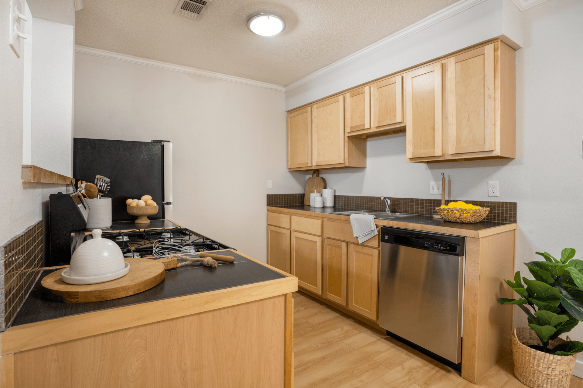 Bouldin Creek Apartments Austin Texas