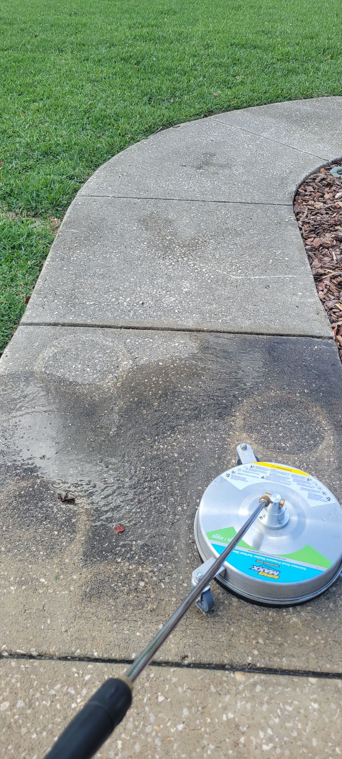 A field of leaves on a lush green lawn