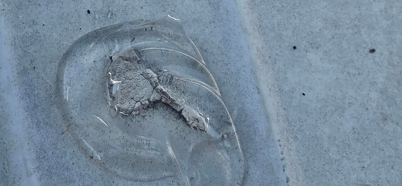 A close up of a clear liquid on a concrete surface.
