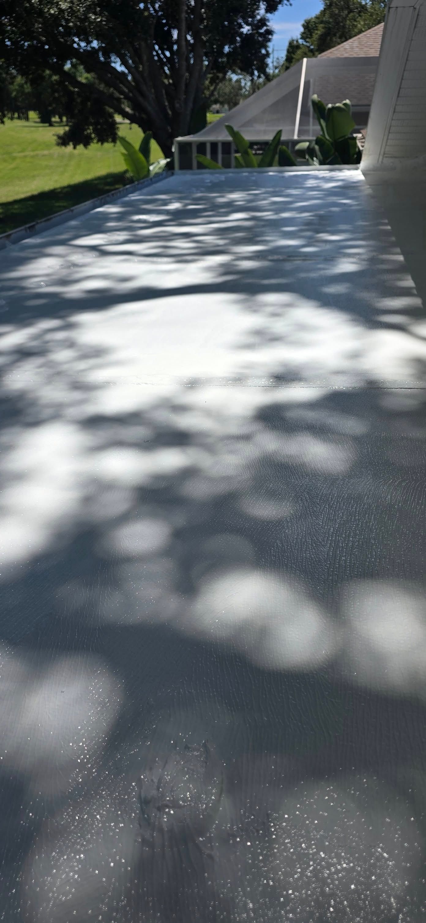 A shadow of a tree is cast on a concrete driveway.
