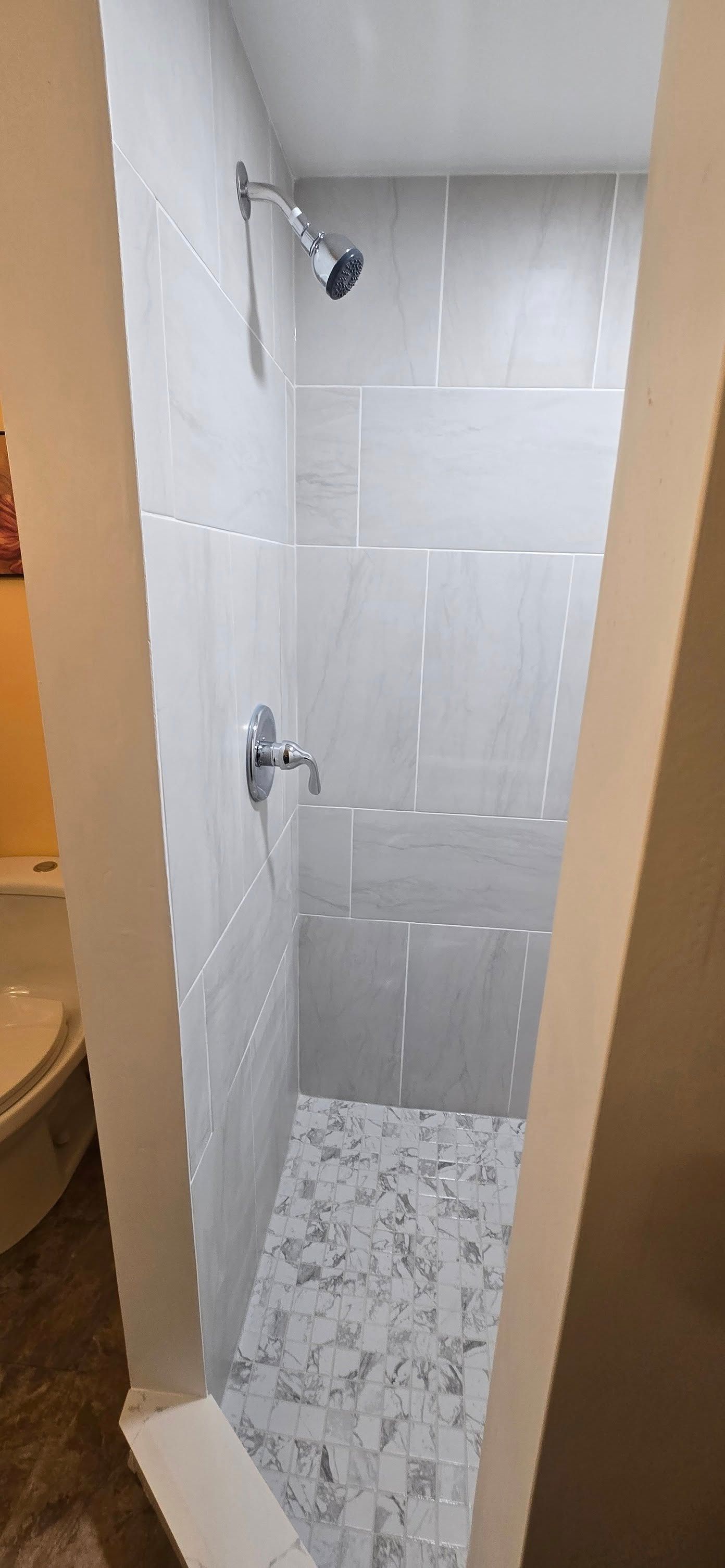 A bathroom with a walk in shower and a toilet.