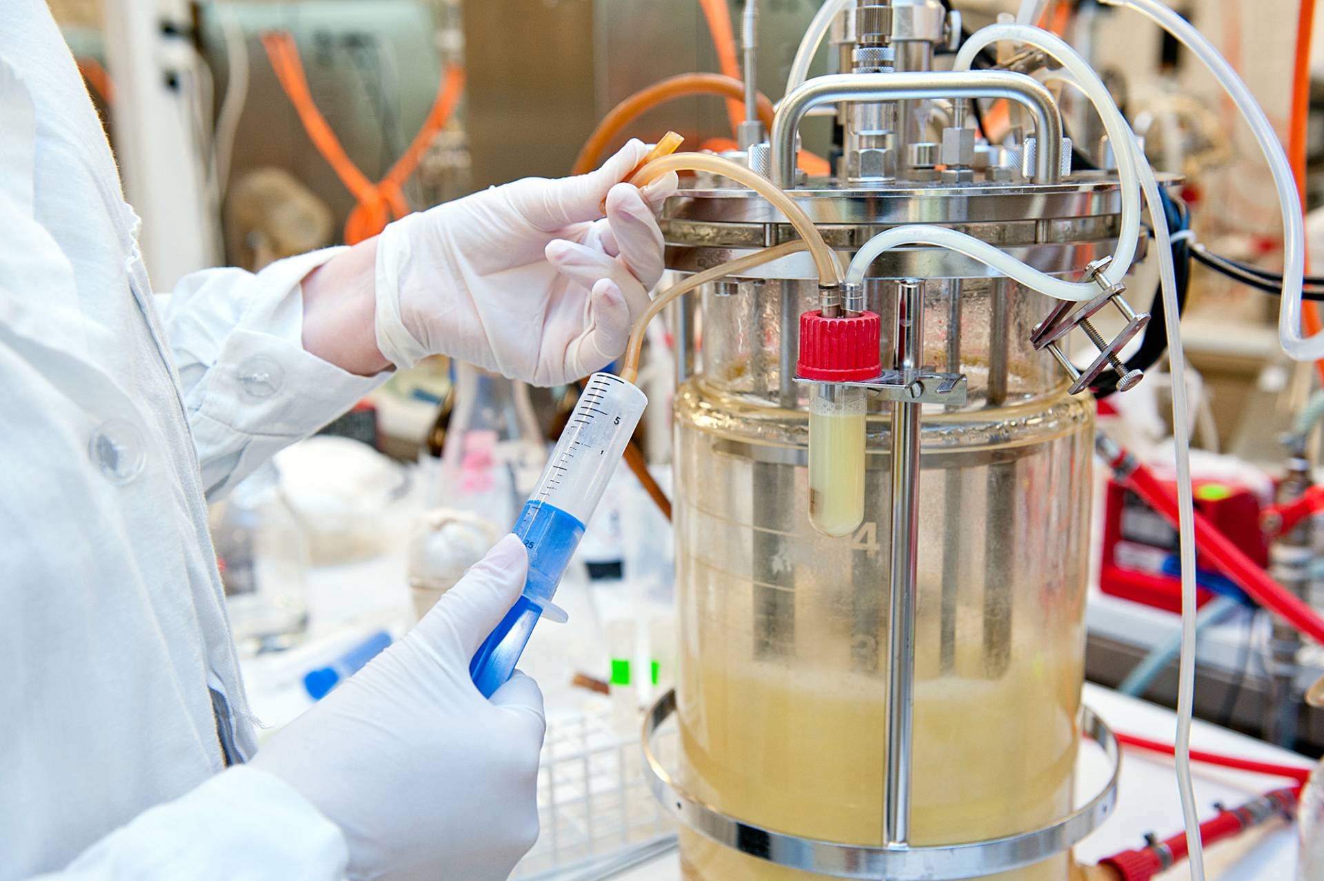 Lab fermentation