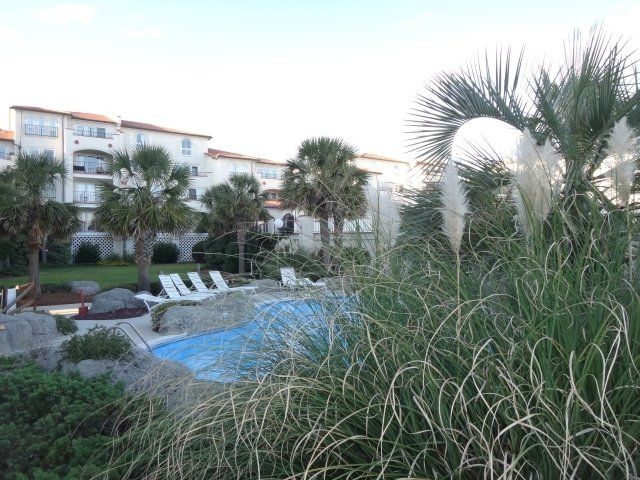 A large swimming pool is surrounded by tall grass and palm trees