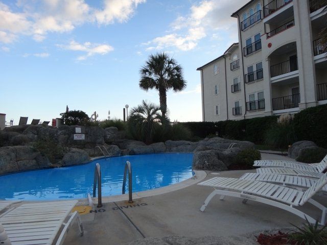 A large swimming pool with a palm tree in the background