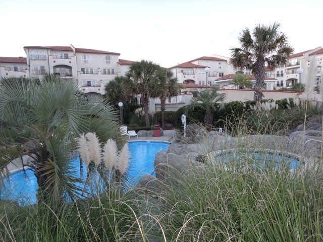 A large swimming pool surrounded by tall grass and palm trees