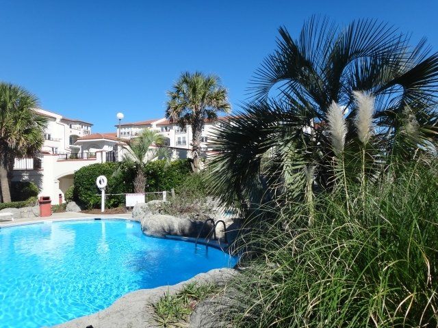 A large swimming pool with palm trees in the background