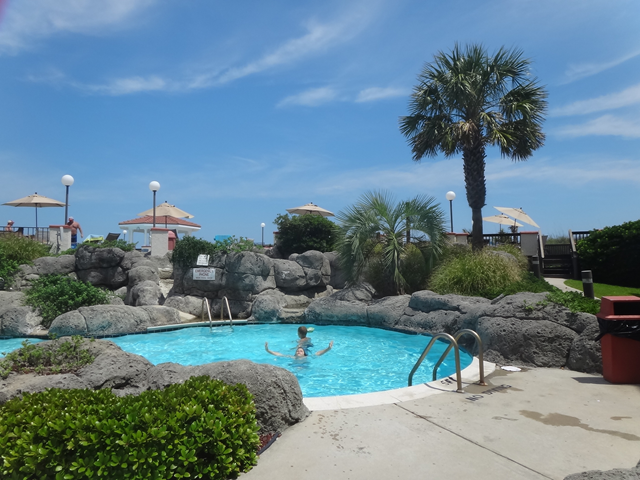 A swimming pool surrounded by rocks and palm trees on a sunny day