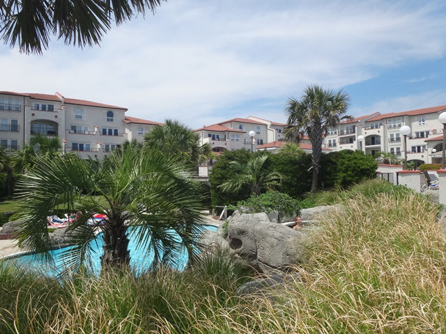 A swimming pool is surrounded by tall grass and palm trees