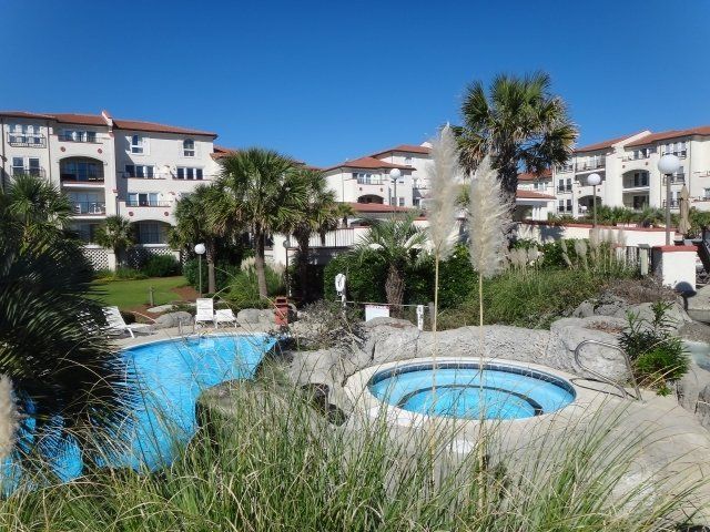 A large swimming pool is surrounded by tall grass and palm trees