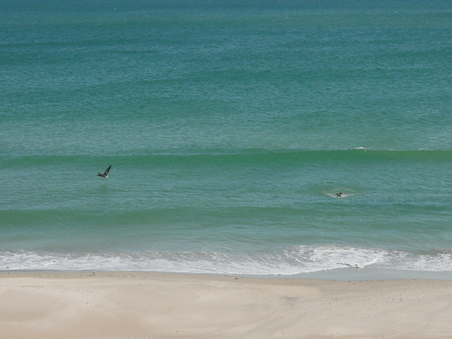 A surfer is riding a wave on the beach.