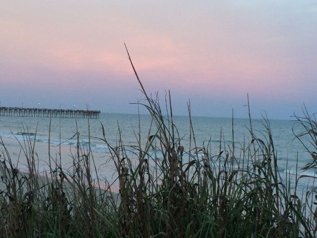 A pier is visible through the tall grass on the beach