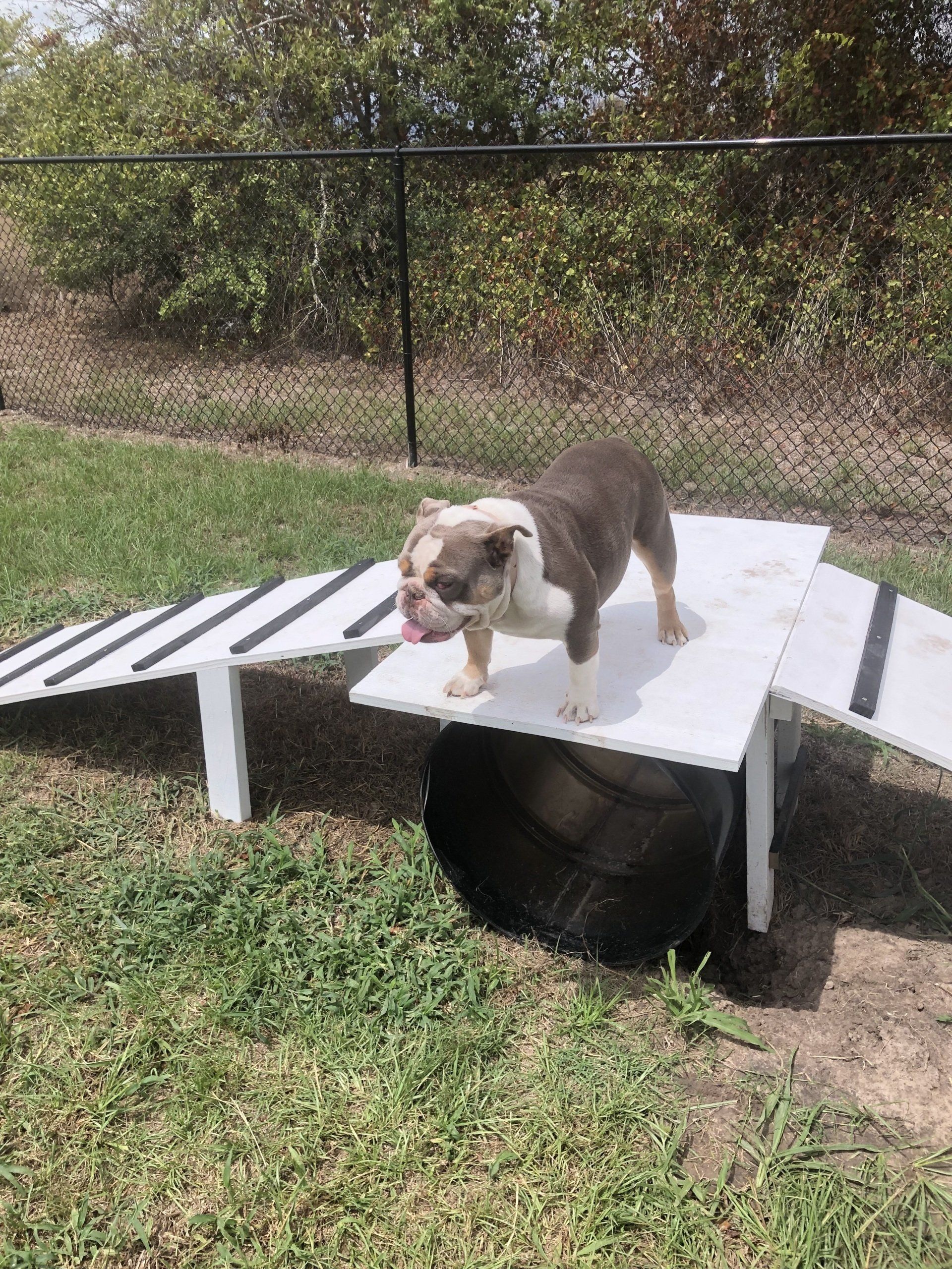 Dog Park 3 Hills RV Park