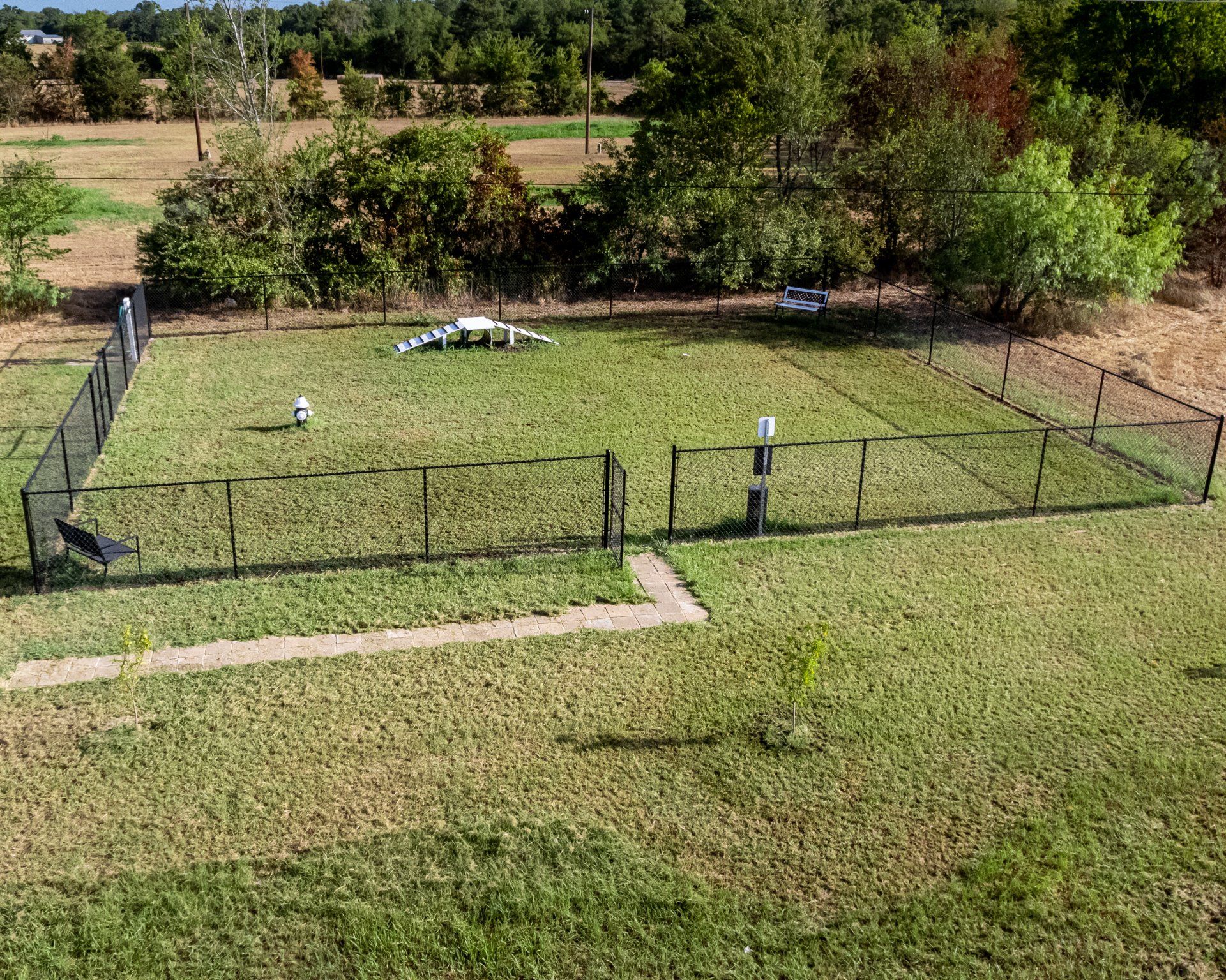 Aerial Dog Park View 