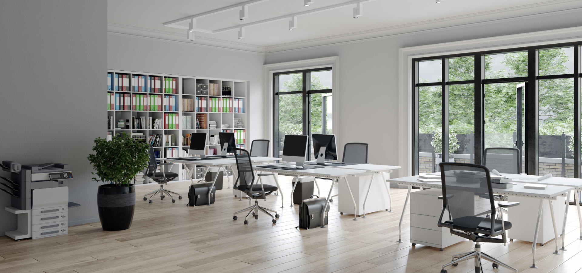 Bright modern office with desks, chairs, plants, and large windows overlooking trees