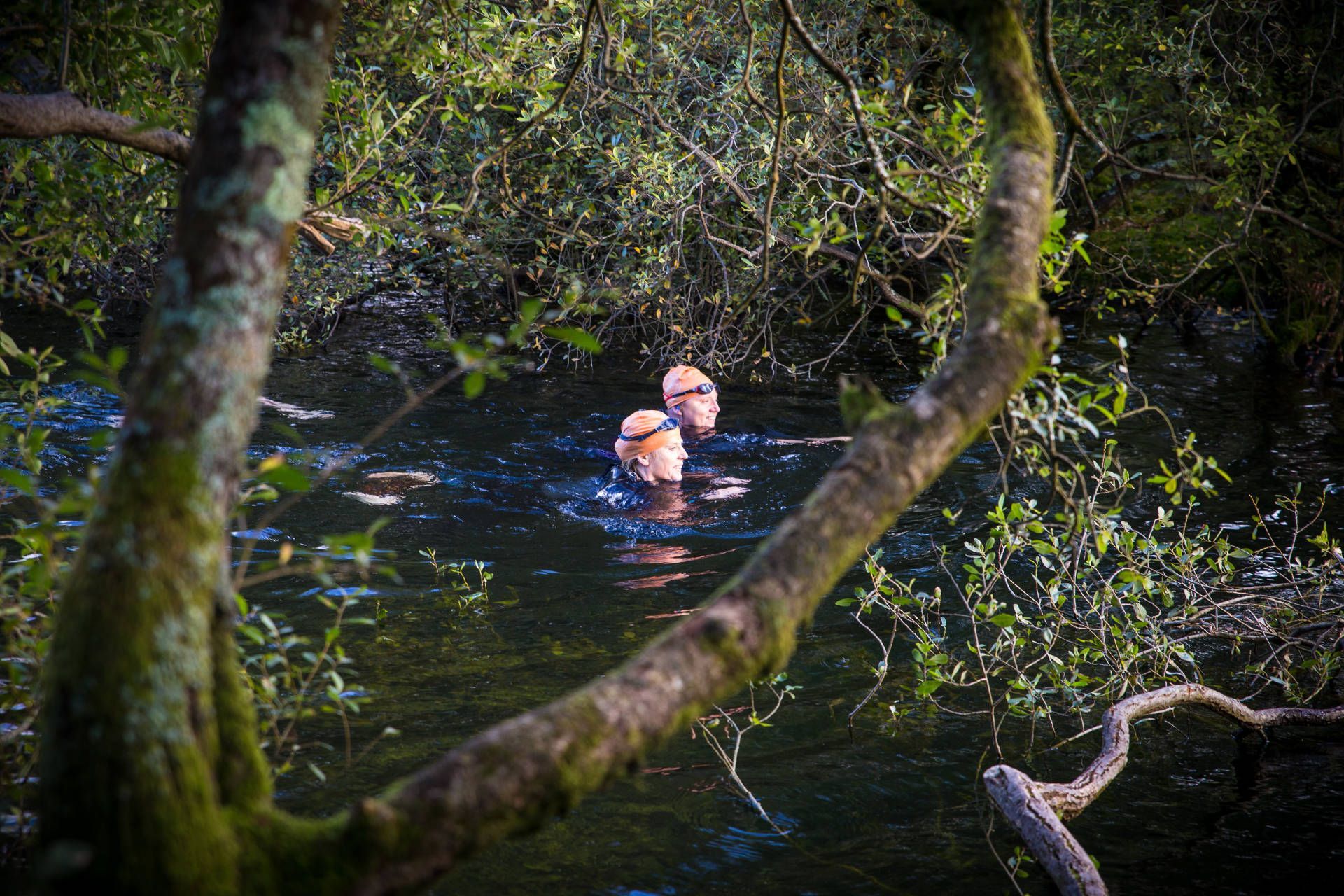 Two people are swimming in a river surrounded by trees.