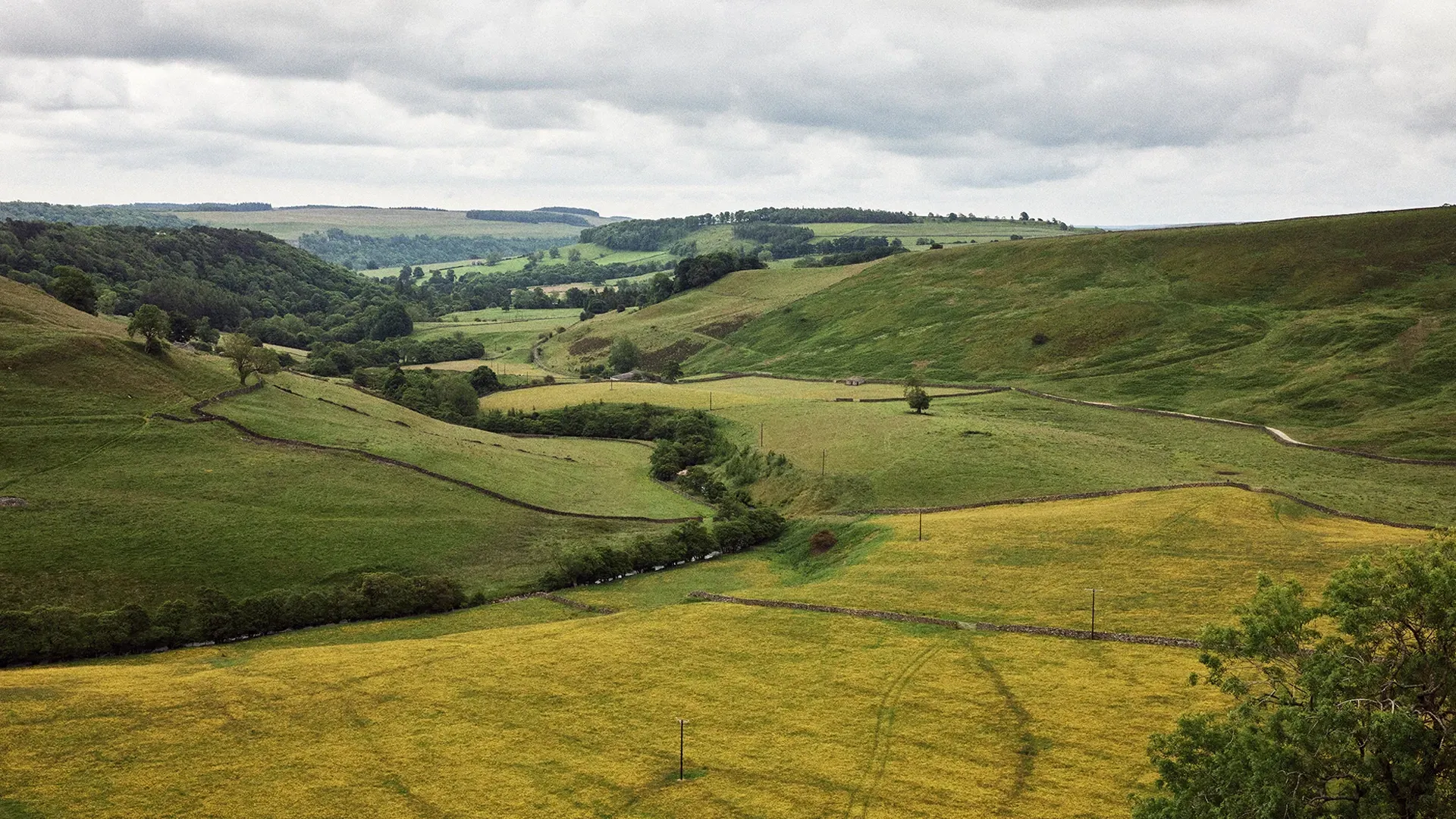 Rolling green hills and valleys under an overcast sky.