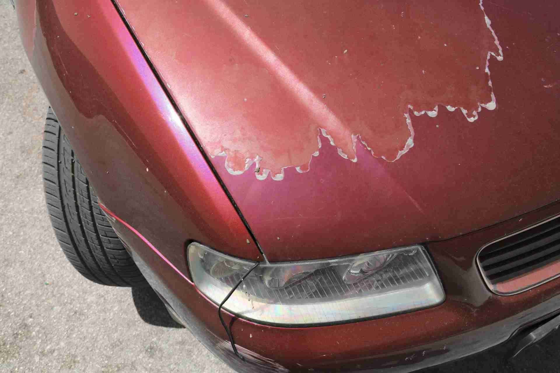 how to prevent sun damage to car paint