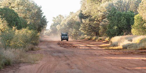A work ute is driving down a dirt road surrounded by trees.