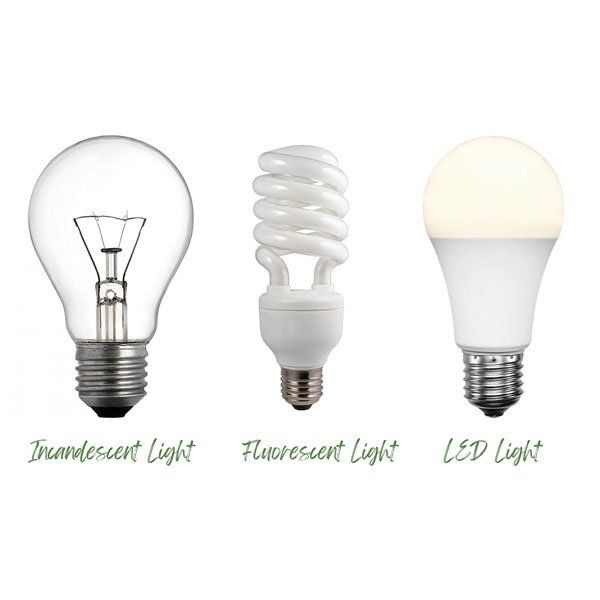 Light Bulb Varieties