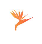 Sxs Paradise logo, Fort Morgan Colorado. Delores Colorado. 4 Corners.