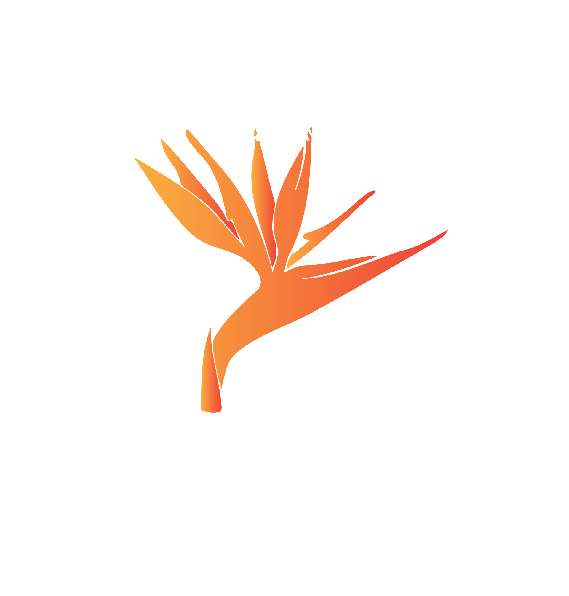 Sxs Paradise logo, Fort Morgan Colorado. Delores Colorado. 4 Corners.