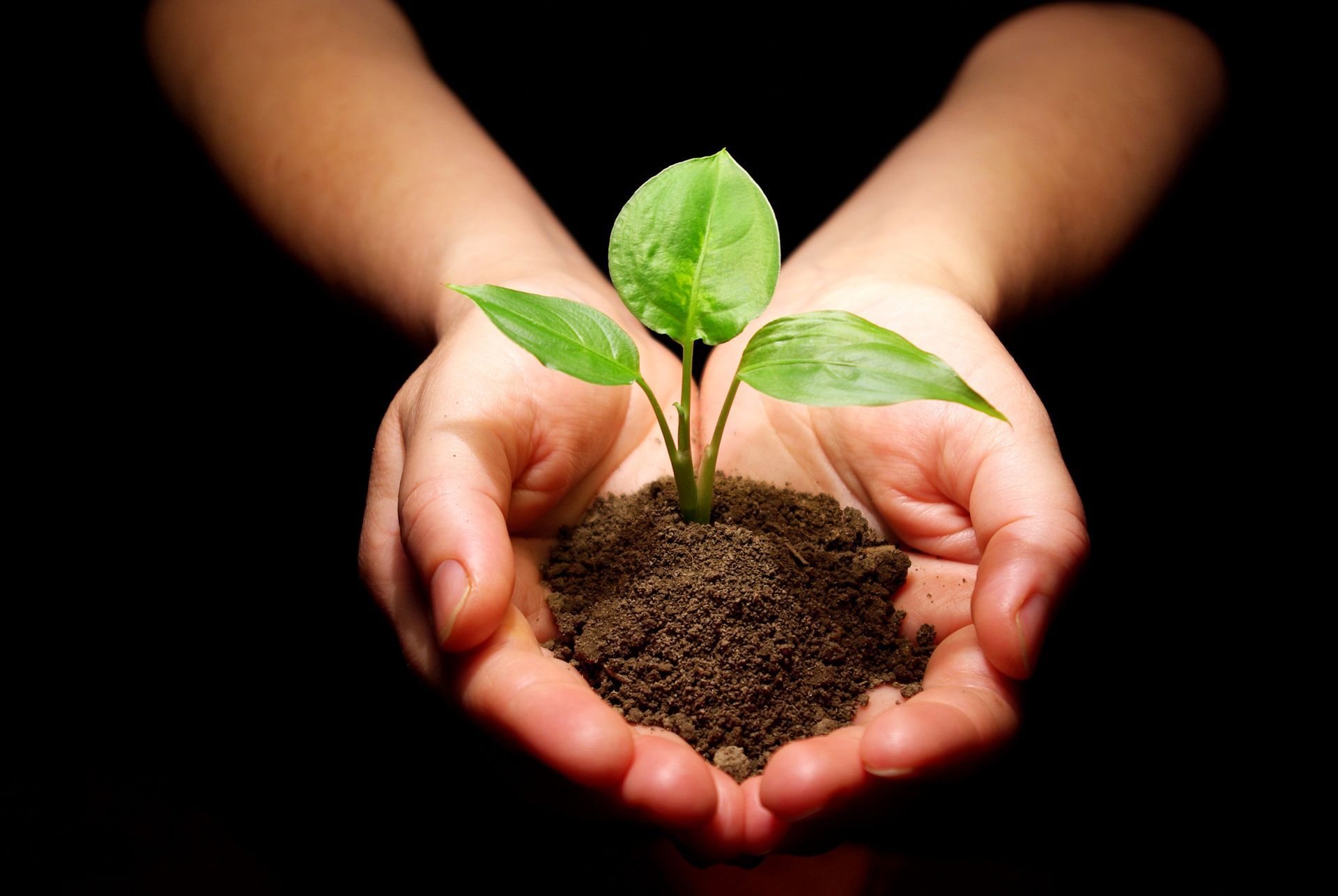 Duurzame verpakkingen