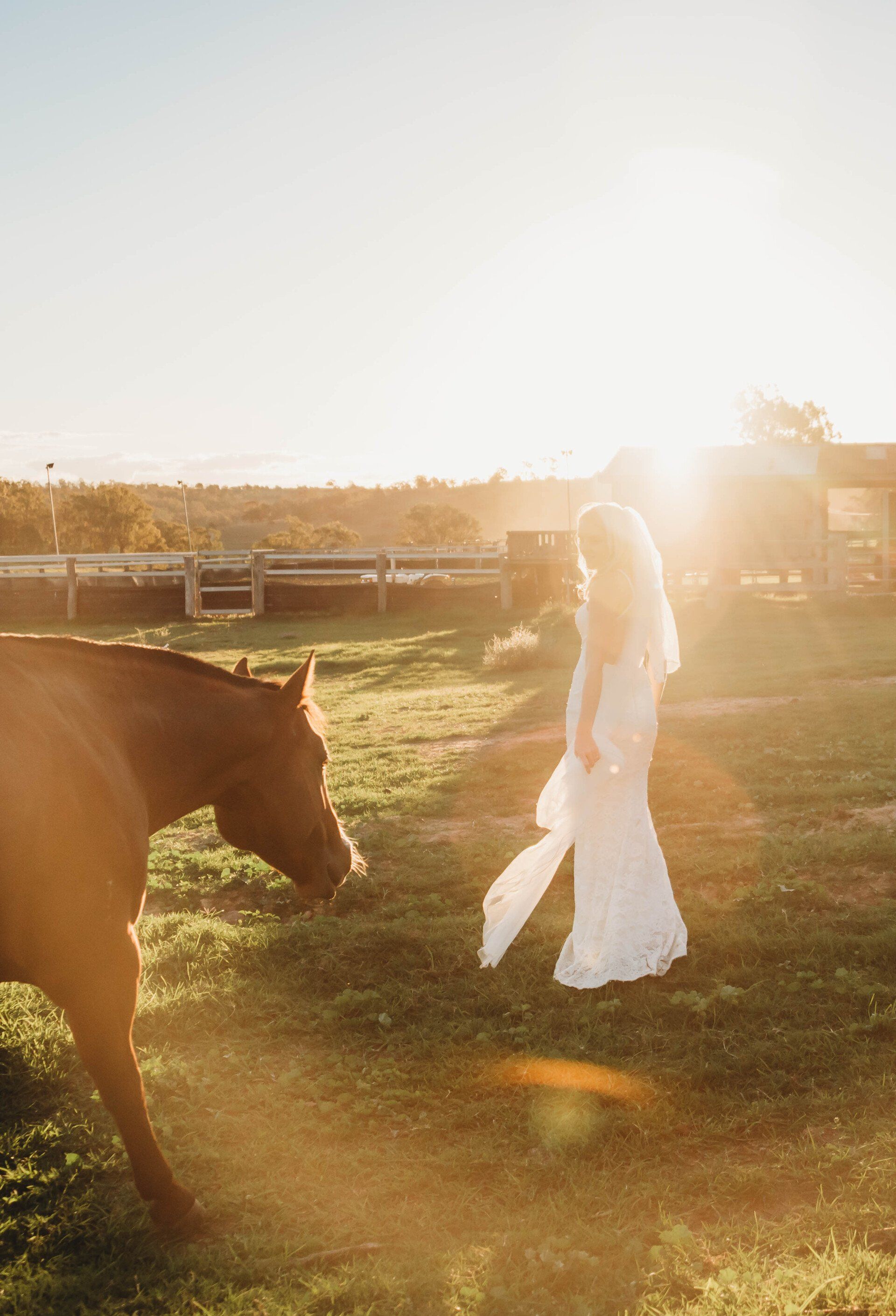 Greenvalley Sunset Bride with Horse