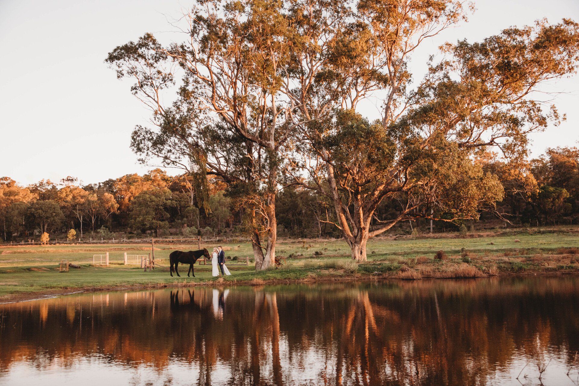 Greenvalley Landscape Wedding Couple with Horse
