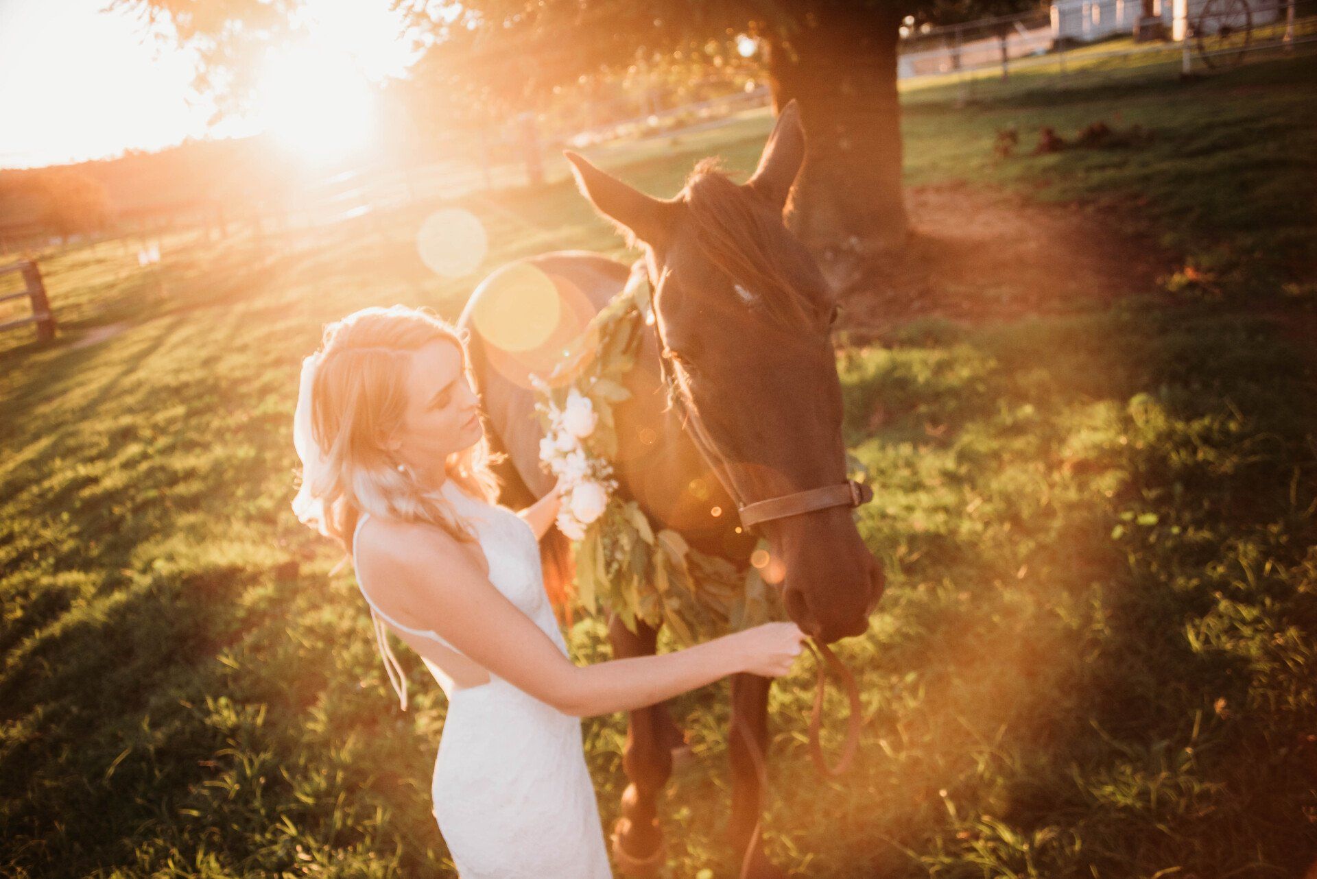 Greenvalley Bride Petting Horse after her Wedding