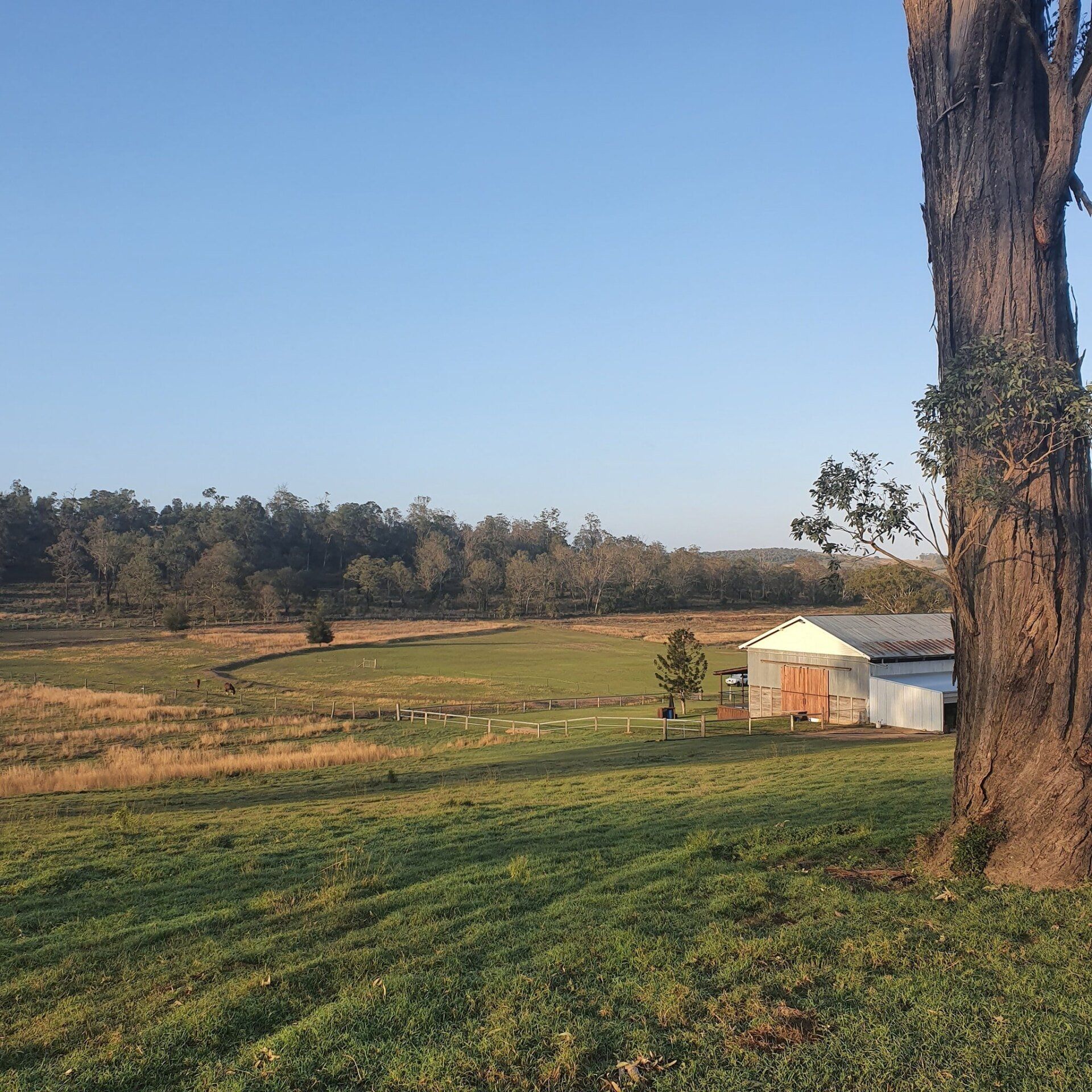 rural queensland landscape