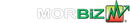 MORBiz logo with green text, a graph icon, and a red box.