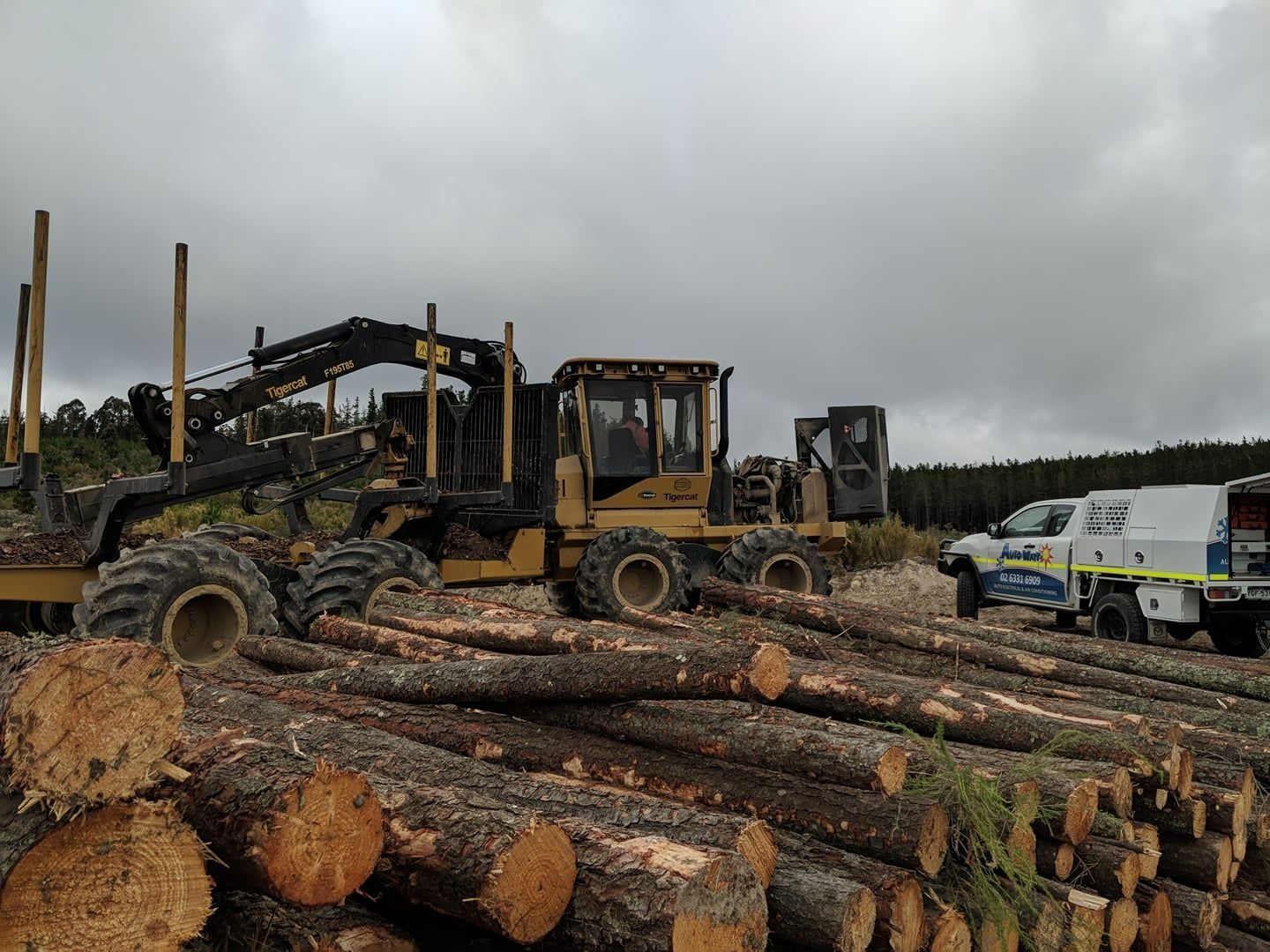 Logging Equipment and Logs at a Forest Site; Overcast Sky — Auto Watt in Kelso, NSW