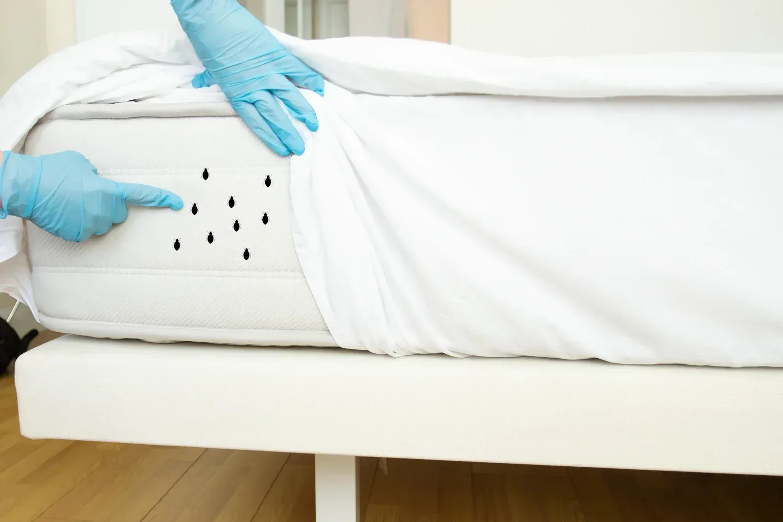 Hands in blue gloves inspect a white mattress, pointing to a cluster of small black spots on its side.