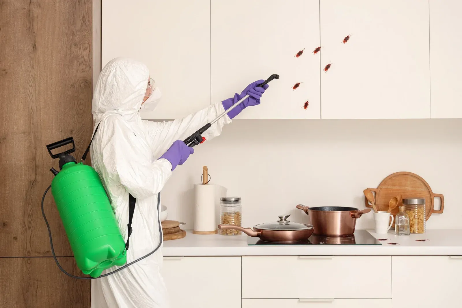 A person in protective gear uses a sprayer to treat cockroaches on kitchen cabinets.