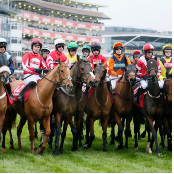 Picture of horses and jockeys