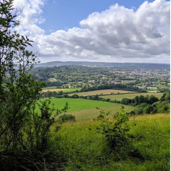 Picture of a Beautiful landscape