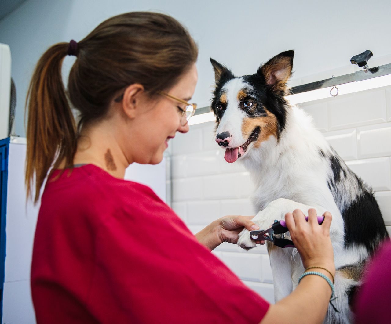 A woman is cutting a dog 's nails with scissors.