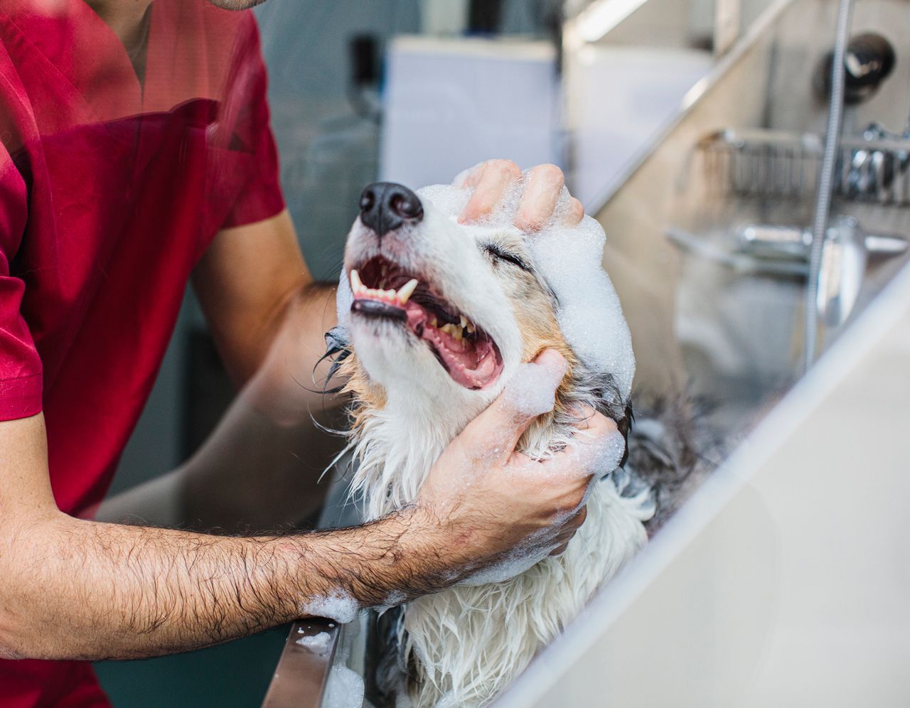 A man is washing a dog in a sink.